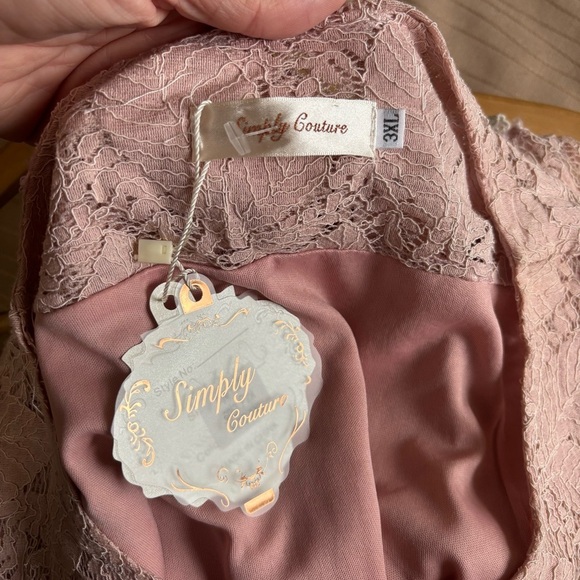 NWT Simply Couture Pink Lace Dress - Picture 6 of 10